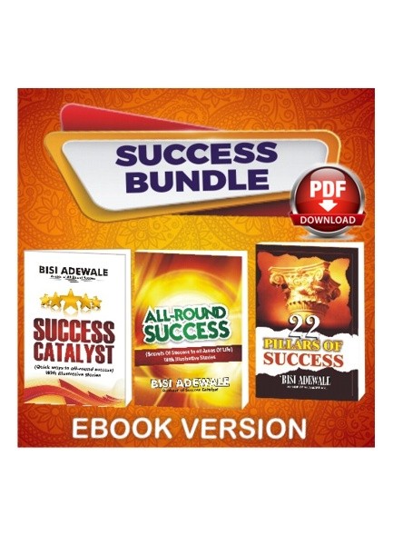 Success Bundle edited-433x590